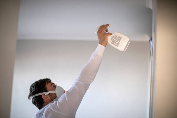 Mold Removal Process in Greenville, SC