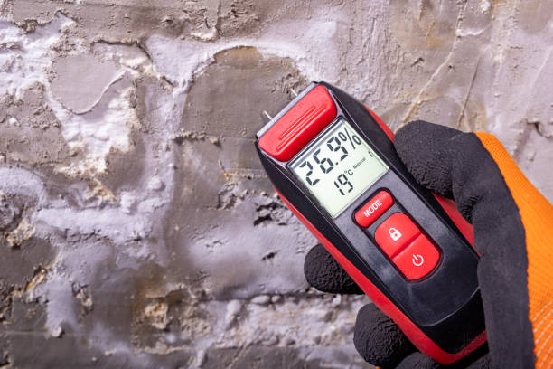 Best Mold Testing  in Greenville, SC