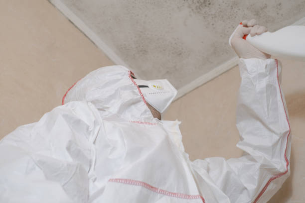 Best Toxic Mold Removal  in Greenville, SC